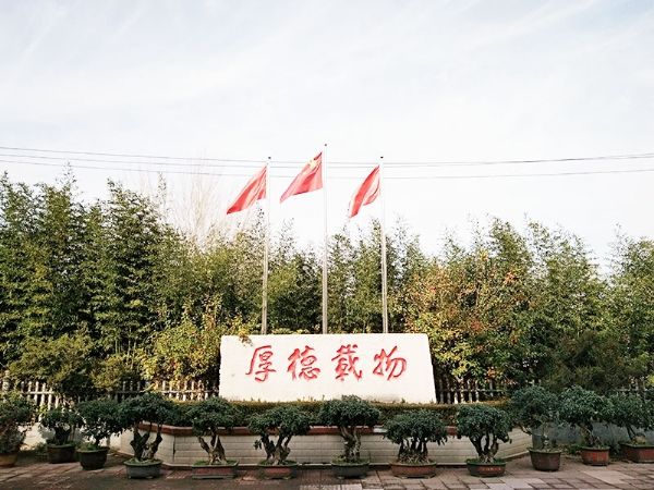  企業(yè)文化