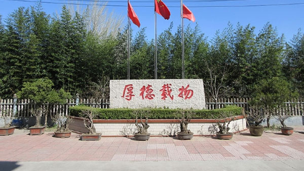 公司實(shí)力